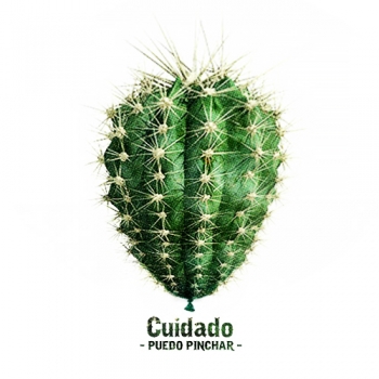 http://www.pabloga.com/es/files/gimgs/th-16_16_cactus.jpg