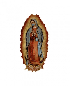 http://www.pabloga.com/es/files/gimgs/th-16_16_virgen-de-guadalupe.jpg