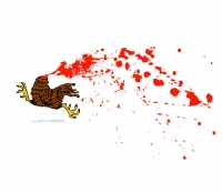 http://www.pabloga.com/es/files/gimgs/th-1_1_gallina.jpg