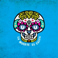http://www.pabloga.com/es/files/gimgs/th-1_1_la-muerte-es-calva.jpg