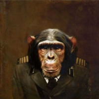 http://www.pabloga.com/es/files/gimgs/th-5_5_chimpance.jpg