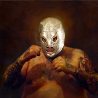 http://www.pabloga.com/es/files/gimgs/th-5_5_luchador.jpg